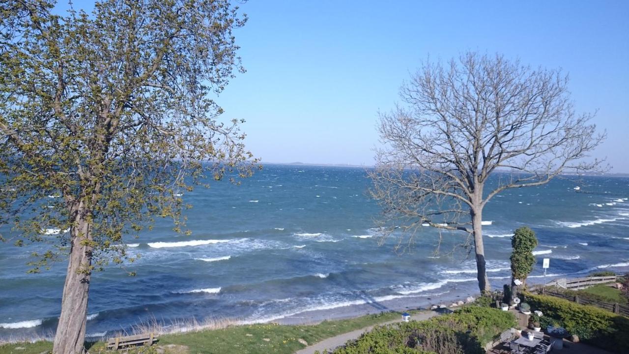 Strandappartement Steinberghaff "Zur Birk" Mit Meerblick Steinberg  Εξωτερικό φωτογραφία